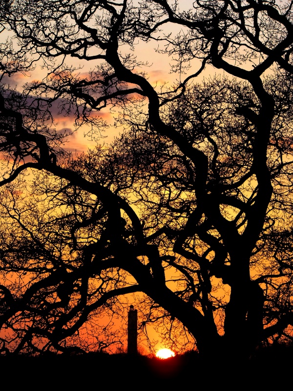 sway, sway tower, folly, lymington, sunset, red, silhouette, photo, photograph, tree,