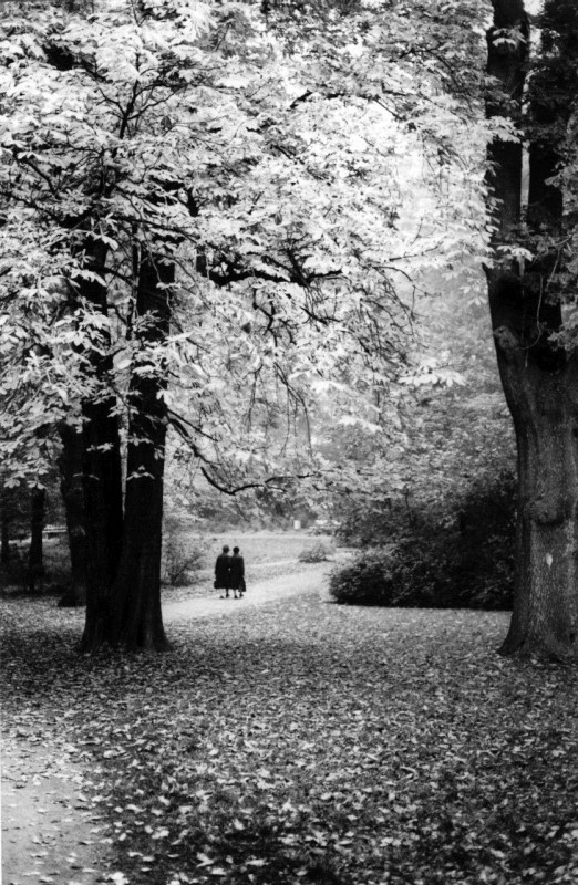 hildesheim, germany, ladies, trees, park, autumn, photo, photography, black and white,